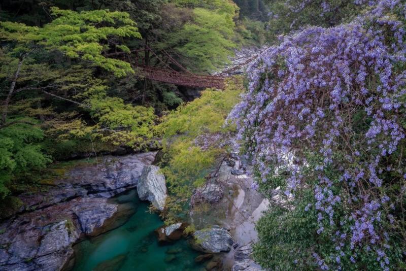 四国旅行のhub拠点 古民家ゲストハウス Heso Camp Miyoshi  Exteriör bild